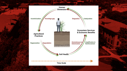 soil health cycle