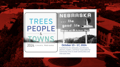 Trees, People and Towns