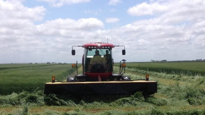 wheatlage harvest