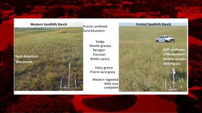 Sandhills Rangeland Monitoring Cooperative