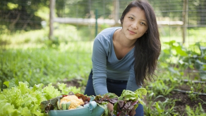 woman harvesting vegetables from garden