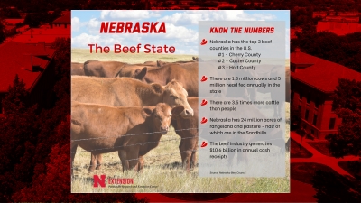 Nebraska beef
