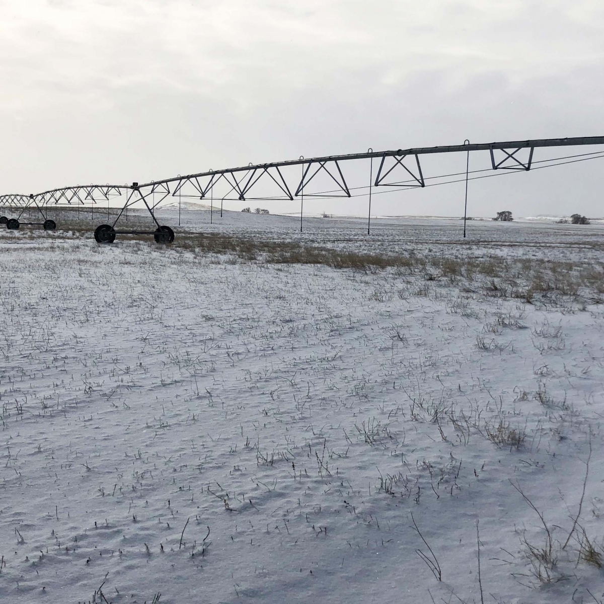 Irrigation system in snowy field 