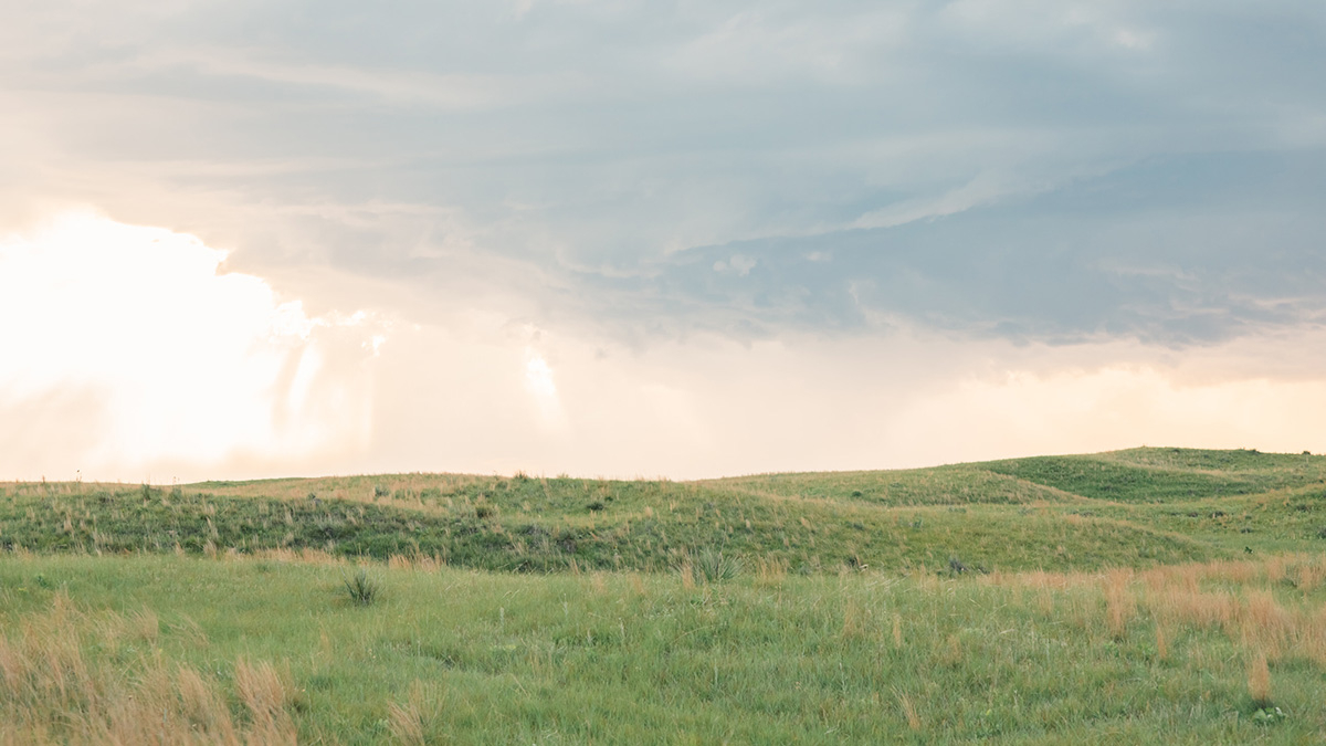 Record ag land values in Nebraska attributed to high commodity