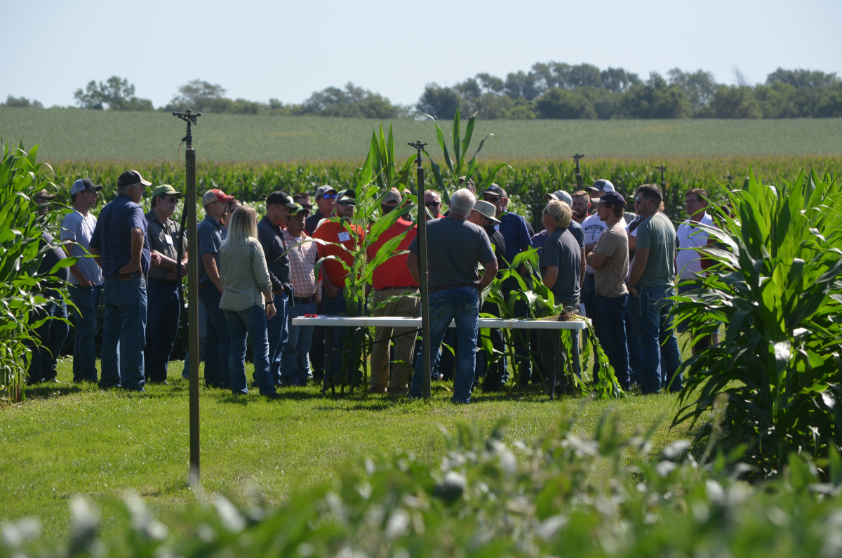 Nebraska Extension Provides In-field Training In August On Corn And ...