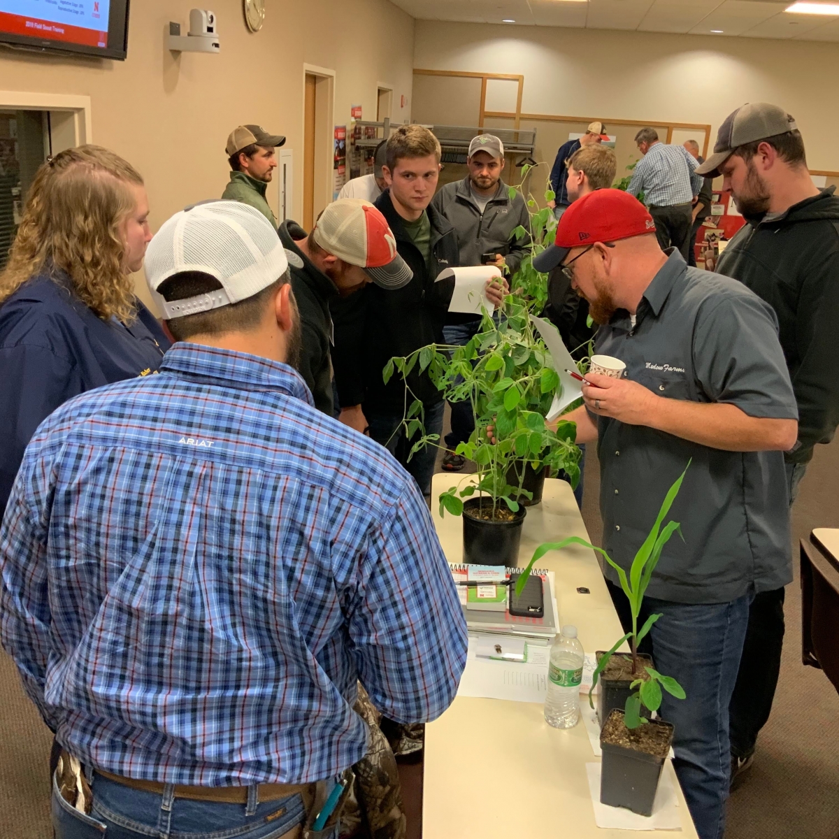 Agronomists learning how to scout crops 